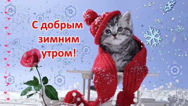Изображение №30 1280x720 «С добрым зимним утром!» из коллекции «Открытки «С добрым зимним утром!» с животными»
