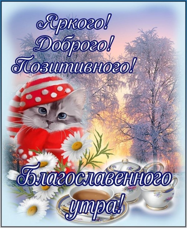 Изображение №12 1049x1280 «Яркого доброго позитивного благословенного утра!» из коллекции «Открытки «С добрым зимним утром!» с животными»