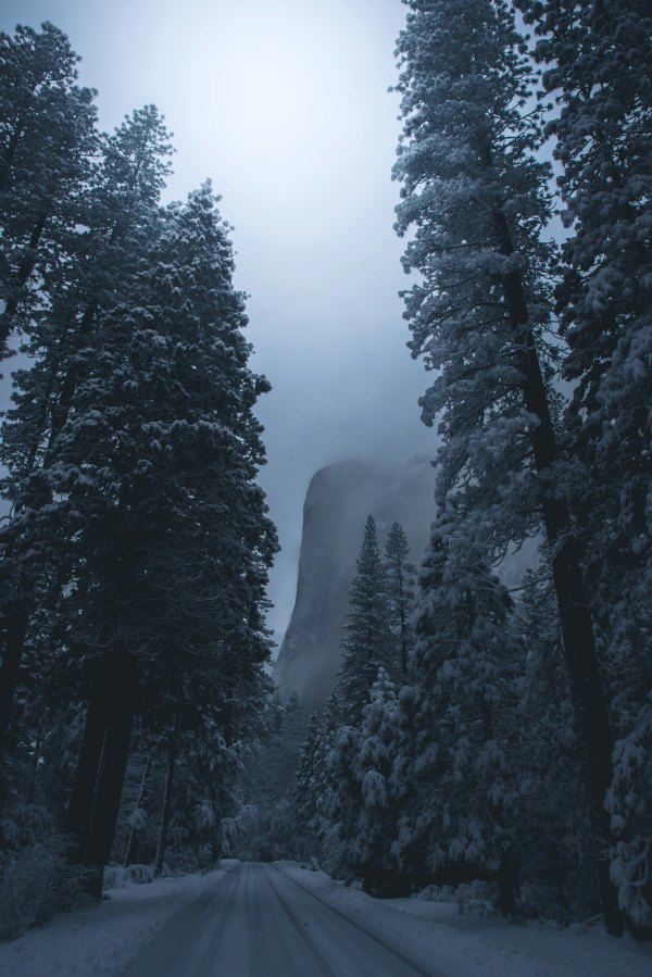 Изображение №23 3654x5473 «Зимняя дорога, лес, гора, США» из коллекции «Обои Зима»