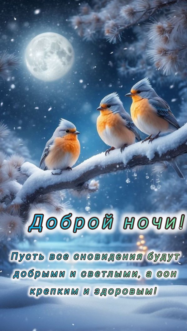 Изображение №15 1086x1920  из коллекции «Зимние открытки «Спокойной доброй ночи!»»