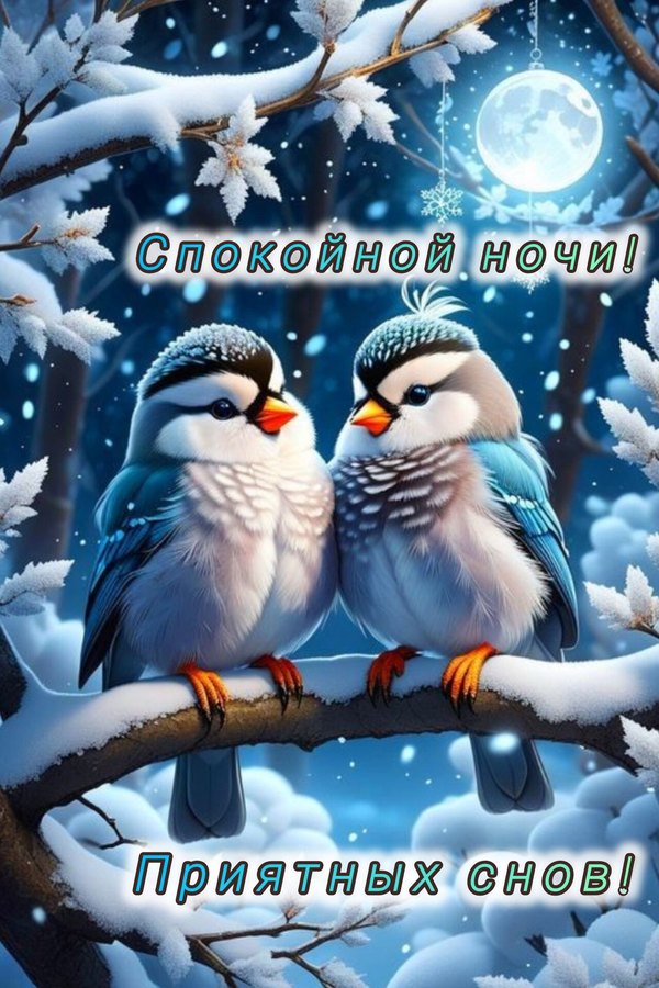 Изображение №28 1280x1920 «Спокойной ночи! Приятных снов!» из коллекции «Зимние открытки «Спокойной доброй ночи!»»