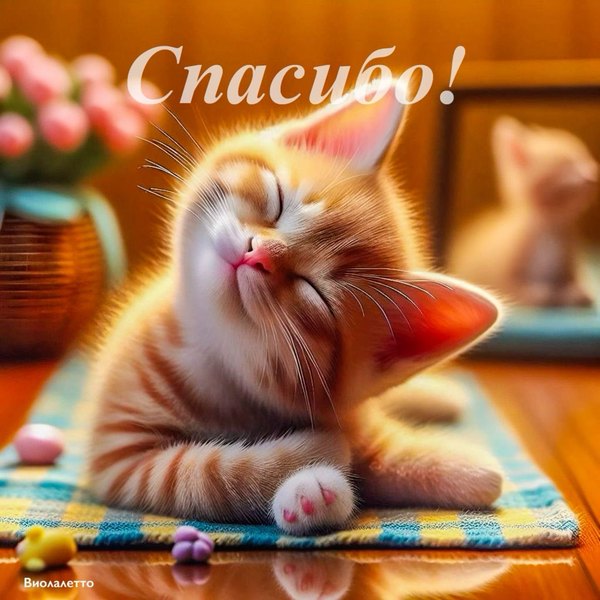 Изображение №9 1440x1440  из коллекции «Открытки «Спасибо!»»