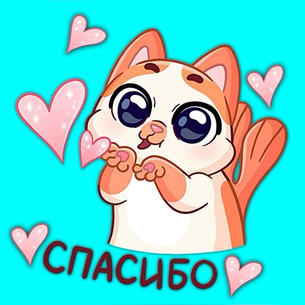 Изображение №73 1440x1440  из коллекции «Открытки «Спасибо!»»