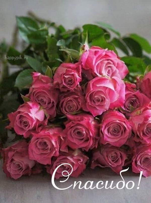 Изображение №27 474x637  из коллекции «Открытки «Спасибо!»»