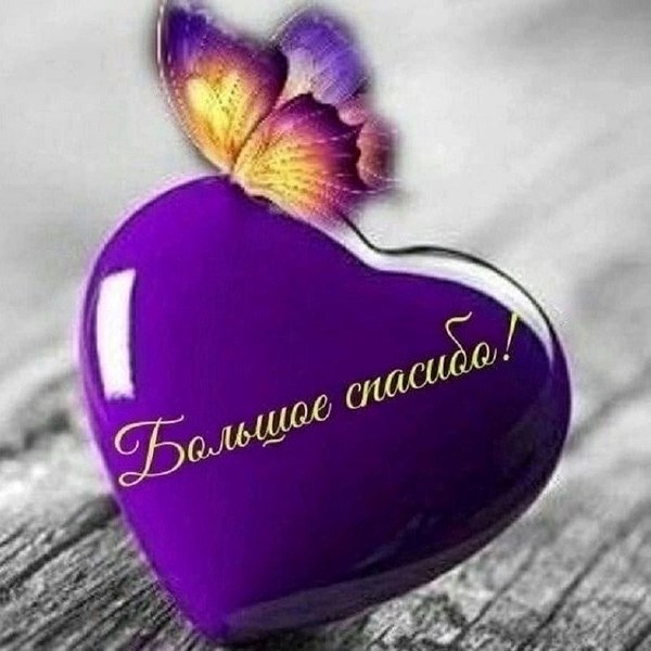 Изображение №41 800x800 «Открытка Большое Спасибо!» из коллекции «Открытки «Спасибо!»»