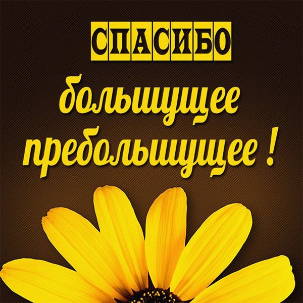 Изображение №34 1080x1080 «Спасибо большущее пребольшущее!» из коллекции «Открытки «Спасибо!»»