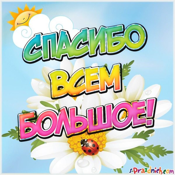 Изображение №68 800x800 «Спасибо всем большое!» из коллекции «Открытки «Спасибо!»»