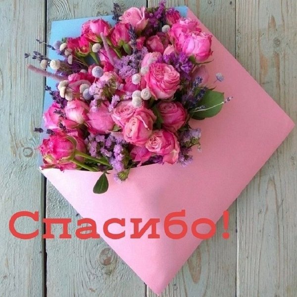 Изображение №24 800x800  из коллекции «Открытки «Спасибо!»»