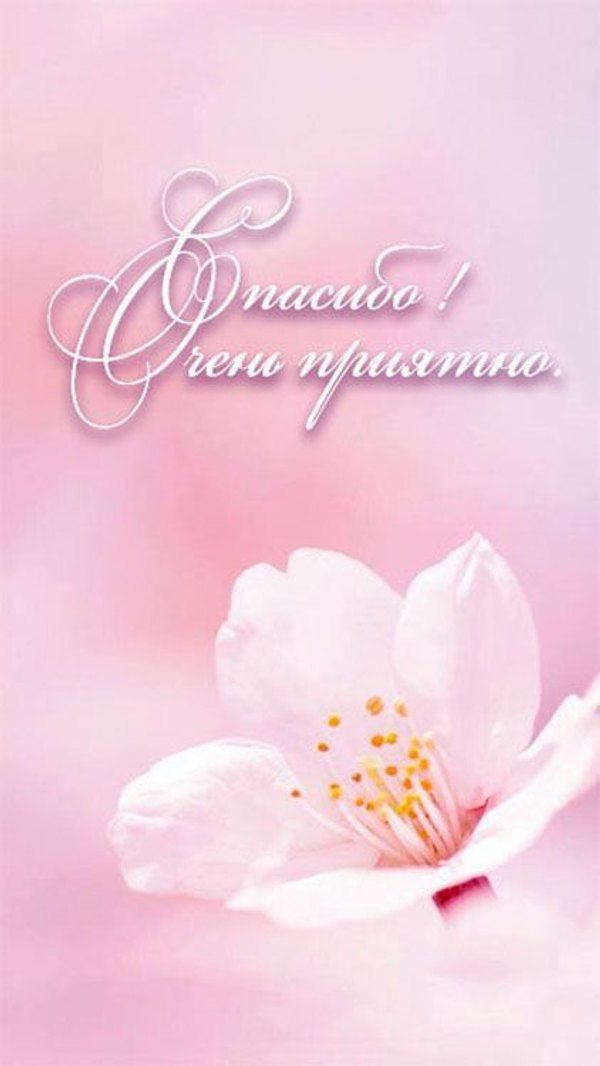 Изображение №18 422x750 «Спасибо, очень приятно!» из коллекции «Открытки «Спасибо!»»