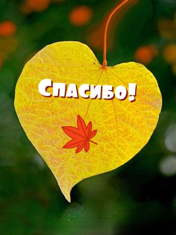 Изображение №57 1002x1336  из коллекции «Открытки «Спасибо!»»