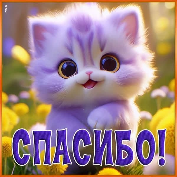 Изображение №31 600x600 «Открытка Спасибо Милый котик» из коллекции «Открытки «Спасибо!»»