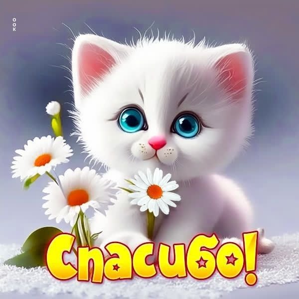 Изображение №48 600x600  из коллекции «Открытки «Спасибо!»»