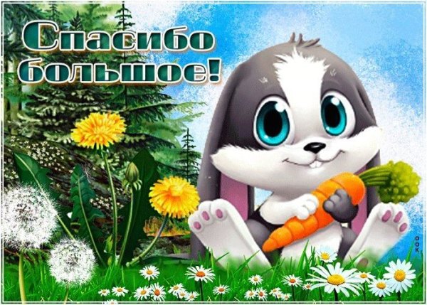 Изображение №72 700x500 «Открытка Спасибо Большое!» из коллекции «Открытки «Спасибо!»»