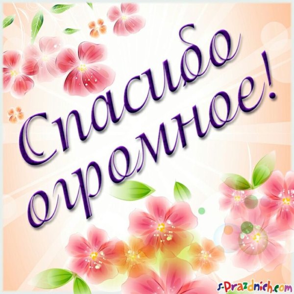 Изображение №28 736x736 «Спасибо огромное!» из коллекции «Открытки «Спасибо!»»