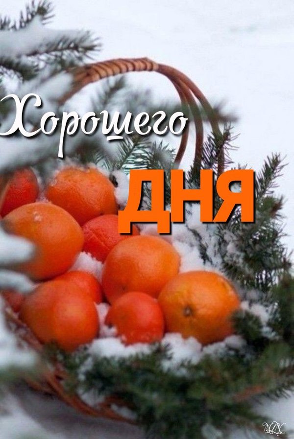 Изображение №51 720x1076  из коллекции «Зимние открытки «Хорошего дня!»»