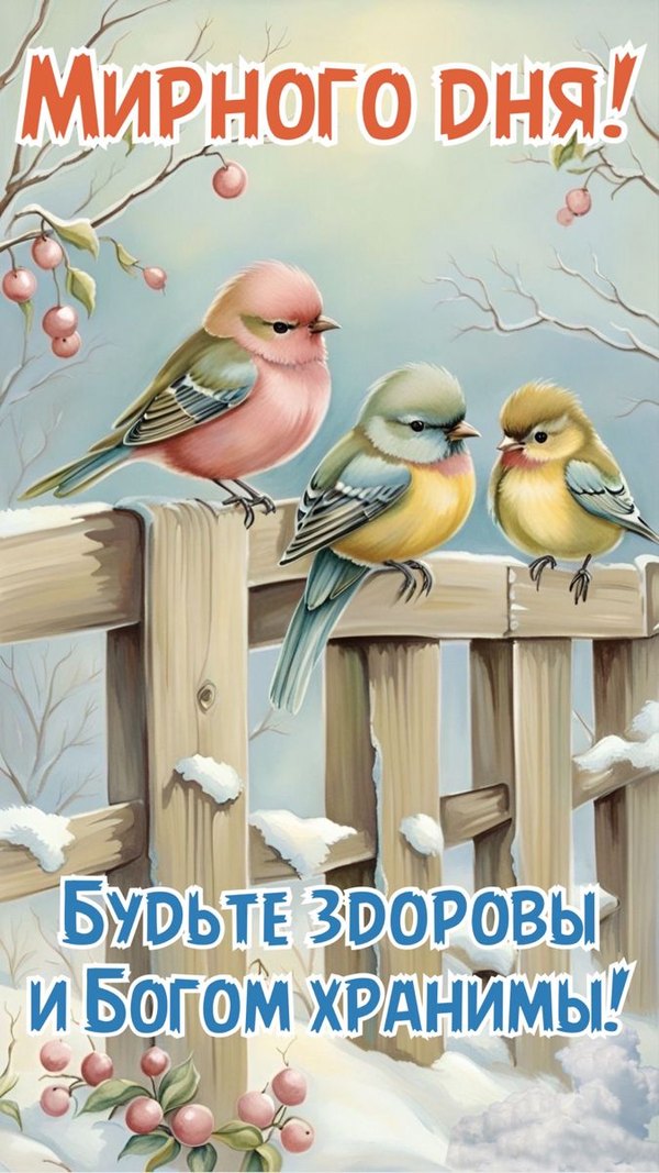 Изображение №8 675x1200 «Мирного дня! Будьте здоровы и Богом хранимы!» из коллекции «Зимние открытки «Хорошего дня!»»