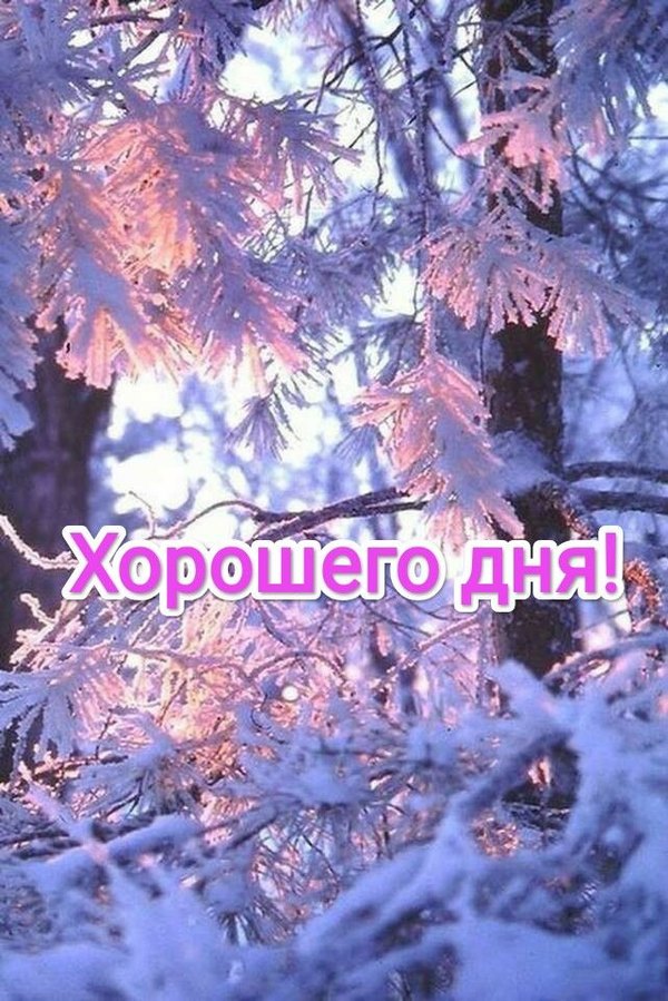 Изображение №40 641x960  из коллекции «Зимние открытки «Хорошего дня!»»