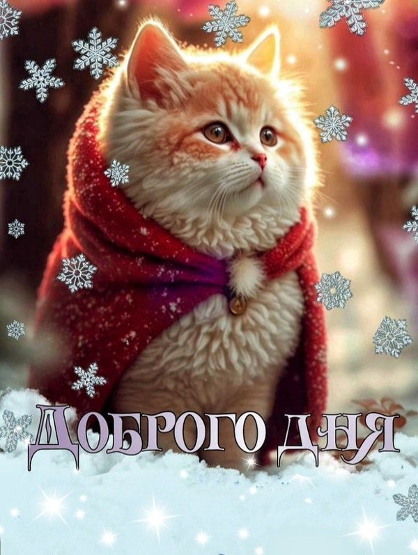 Изображение №39 720x956 «Доброго дня!» из коллекции «Зимние открытки «Хорошего дня!»»