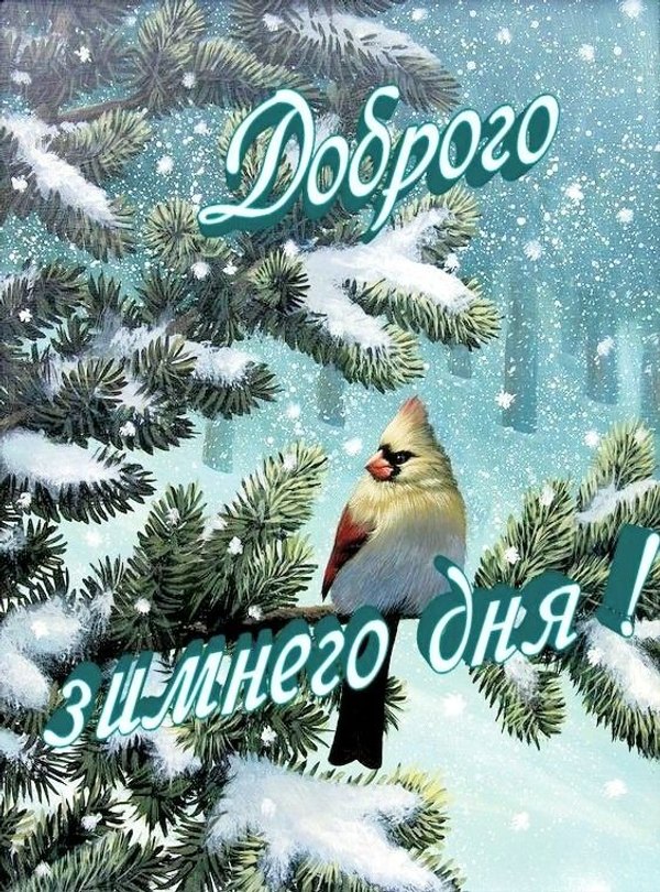 Изображение №65 564x761 «Доброго зимнего дня!» из коллекции «Зимние открытки «Хорошего дня!»»