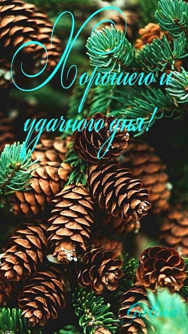Изображение №33 736x1308 «Хорошего и удачного дня!» из коллекции «Зимние открытки «Хорошего дня!»»