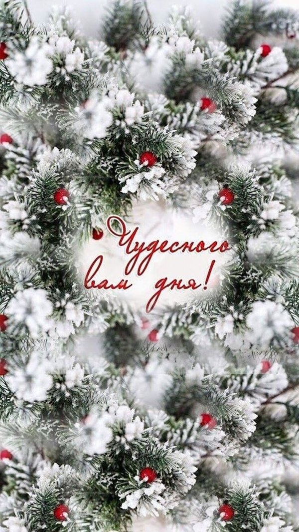 Изображение №49 736x1308 «Чудесного вам дня!» из коллекции «Зимние открытки «Хорошего дня!»»