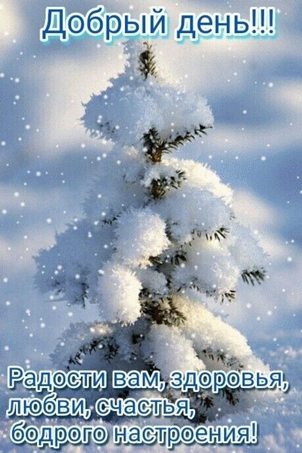 Изображение №17 460x689  из коллекции «Зимние открытки «Хорошего дня!»»