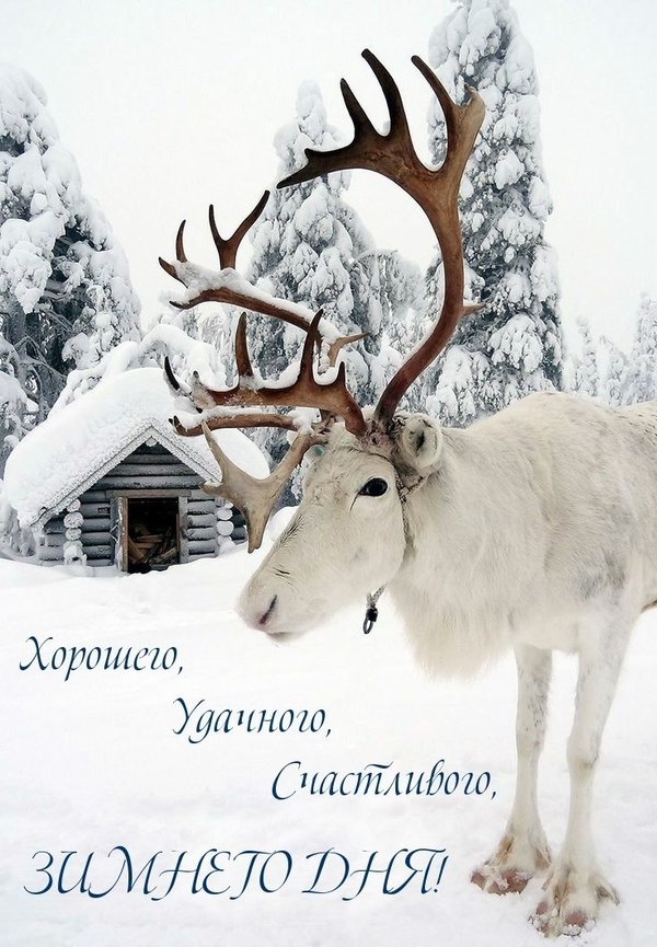 Изображение №48 736x1061 «Хорошего удачного счастливого зимнего дня!» из коллекции «Зимние открытки «Хорошего дня!»»