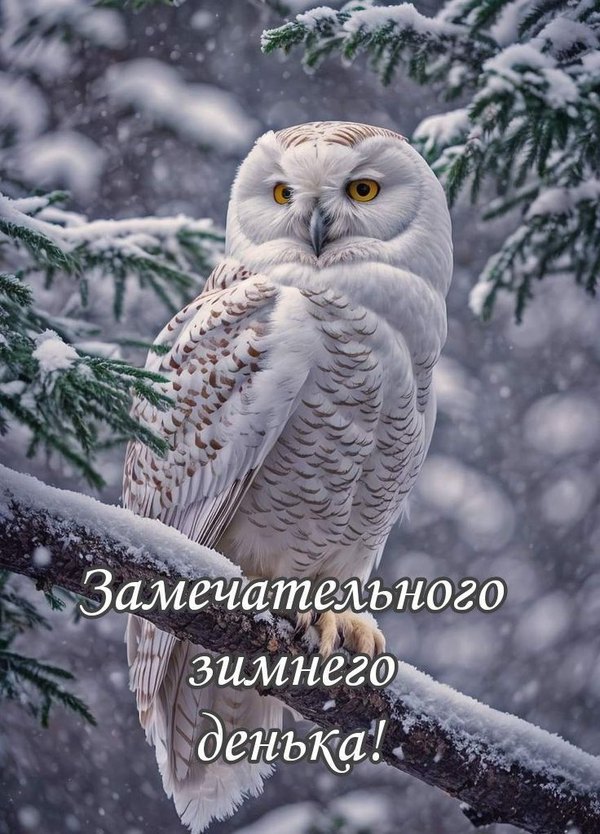 Изображение №27 736x1023 «Замечательного зимнего денька!» из коллекции «Зимние открытки «Хорошего дня!»»