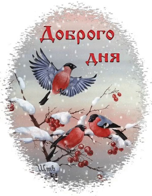 Изображение №55 496x640 «Доброго дня!» из коллекции «Зимние открытки «Хорошего дня!»»