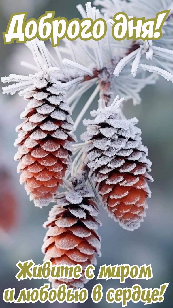Изображение №21 1080x1920  из коллекции «Зимние открытки «Хорошего дня!»»