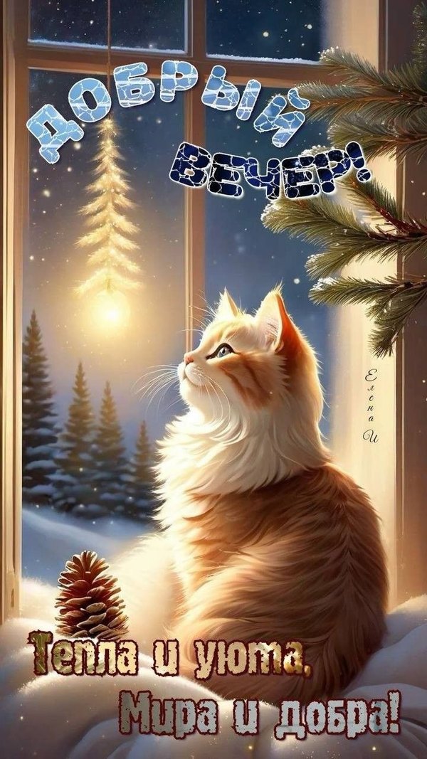 Изображение №69 720x1280  из коллекции «Зимние открытки «Хорошего доброго вечера!»»