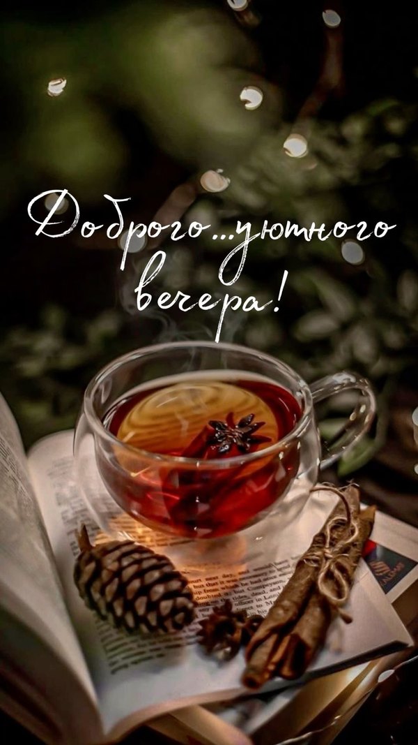 Изображение №21 1080x1920 «Доброго уютного вечера!» из коллекции «Зимние открытки «Хорошего доброго вечера!»»