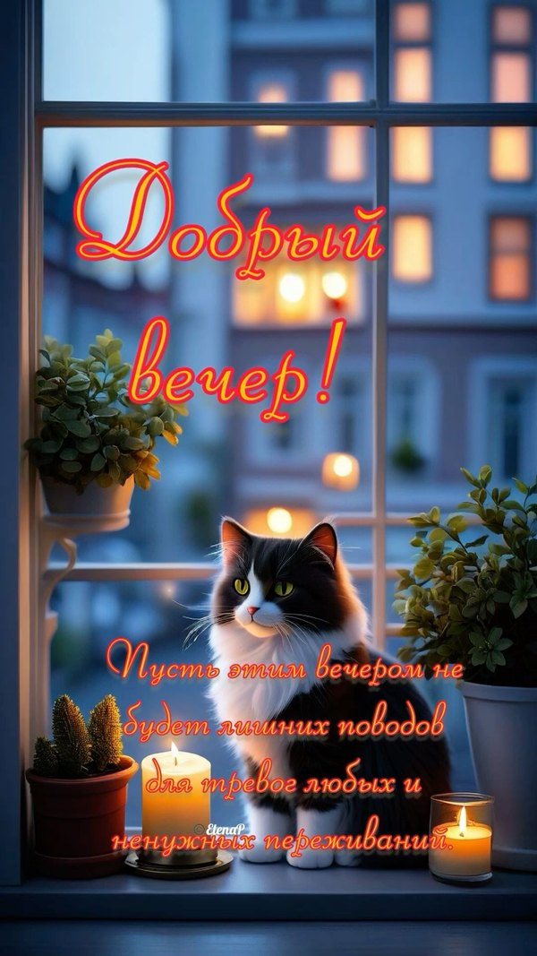 Изображение №82 1080x1920  из коллекции «Зимние открытки «Хорошего доброго вечера!»»