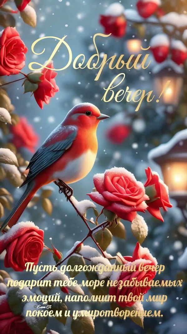 Изображение №55 1080x1920  из коллекции «Зимние открытки «Хорошего доброго вечера!»»