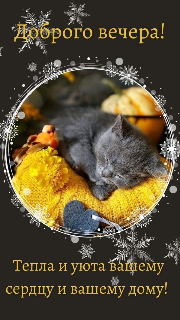 Изображение №94 736x1308  из коллекции «Зимние открытки «Хорошего доброго вечера!»»