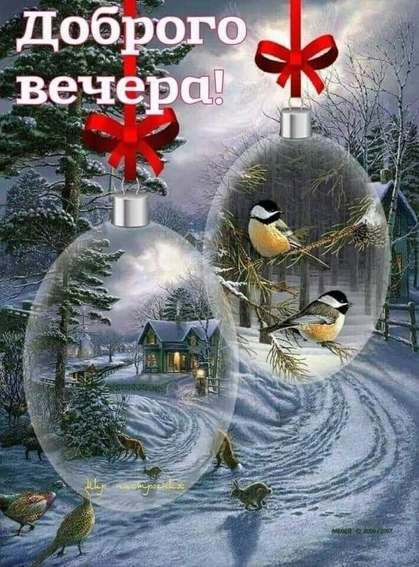Изображение №43 710x960  из коллекции «Зимние открытки «Хорошего доброго вечера!»»