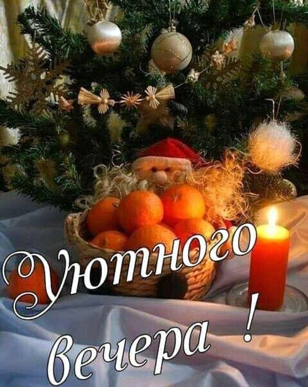 Изображение №103 480x604  из коллекции «Зимние открытки «Хорошего доброго вечера!»»