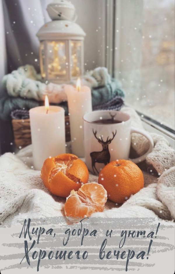 Изображение №89 769x1200 «Мира добра и уюта! Хорошего вечера!» из коллекции «Зимние открытки «Хорошего доброго вечера!»»