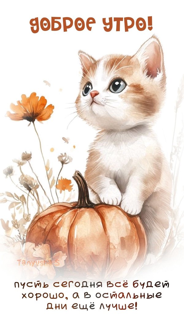 Изображение №33 1080x1920 из коллекции «Осенние открытки «С Добрым Утром!»»