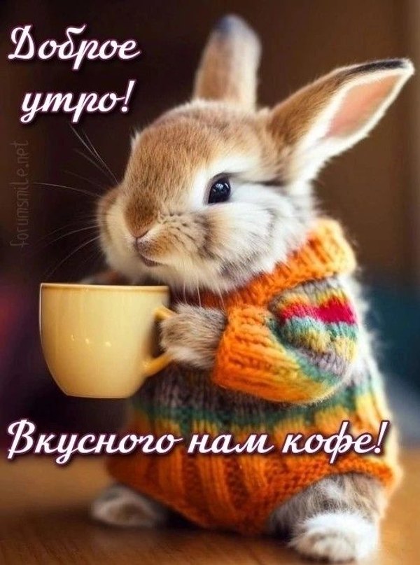 Изображение №71 533x717 из коллекции «Осенние открытки «С Добрым Утром!»»