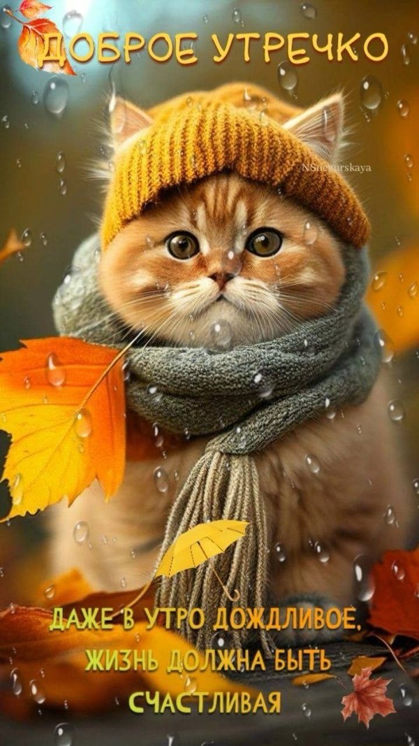Изображение №52 720x1280 из коллекции «Осенние открытки «С Добрым Утром!»»