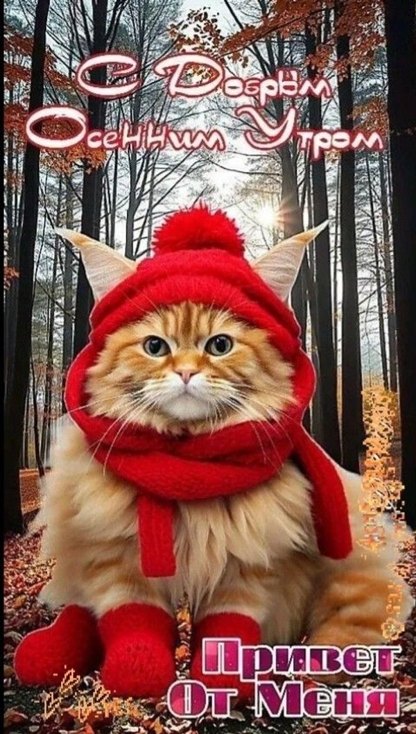 Изображение №69 480x846 «Привет С добрым осенним утром!» из коллекции «Осенние открытки «С Добрым Утром!»»