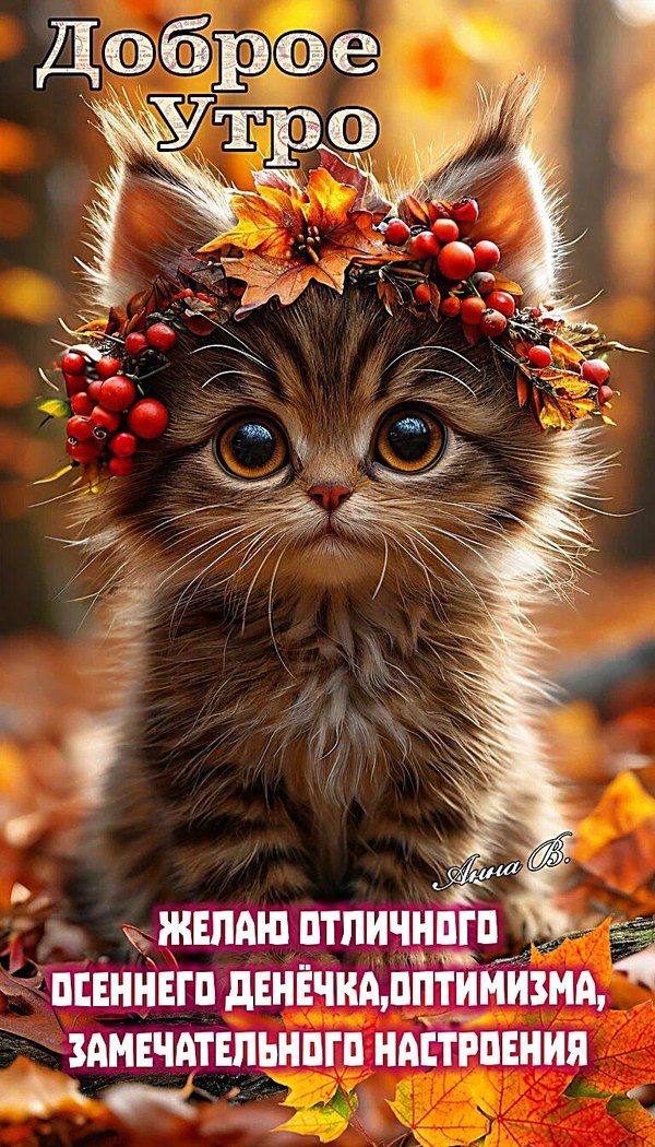 Изображение №36 768x1344 из коллекции «Осенние открытки «С Добрым Утром!»»
