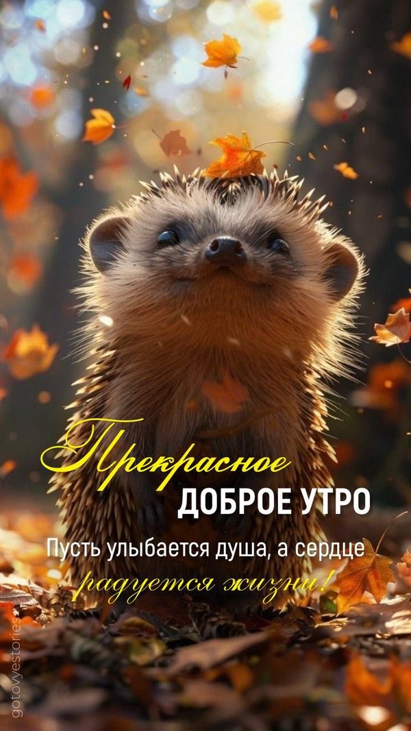 Изображение №58 720x1280 «Прекрасное доброе утро» из коллекции «Осенние открытки «С Добрым Утром!»»