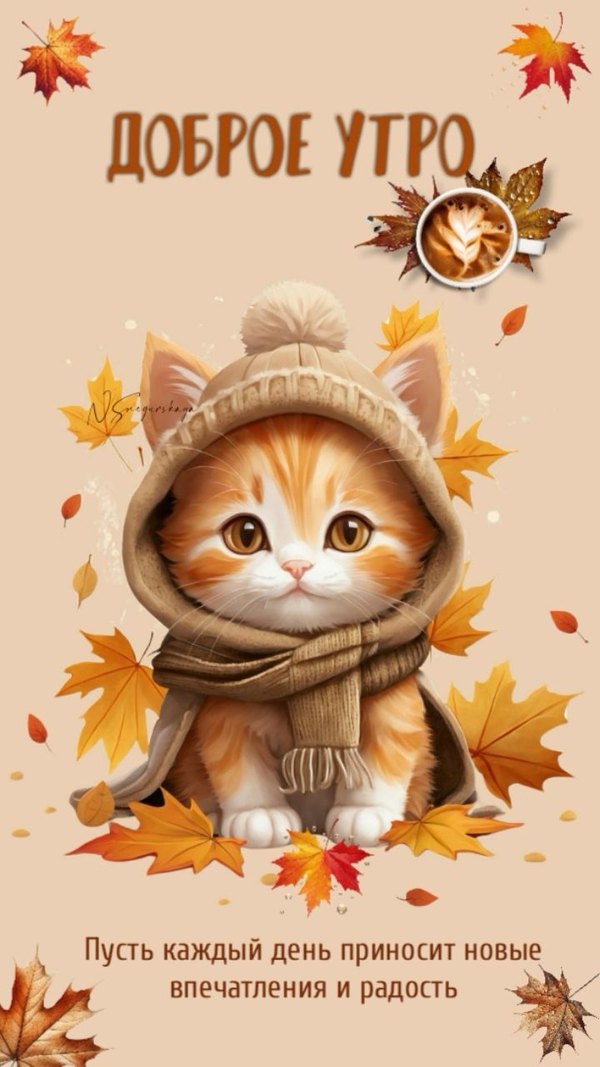 Изображение №30 720x1280 из коллекции «Осенние открытки «С Добрым Утром!»»