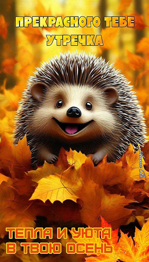 Изображение №80 768x1344 «Прекрасного тебе утречка!» из коллекции «Осенние открытки «С Добрым Утром!»»