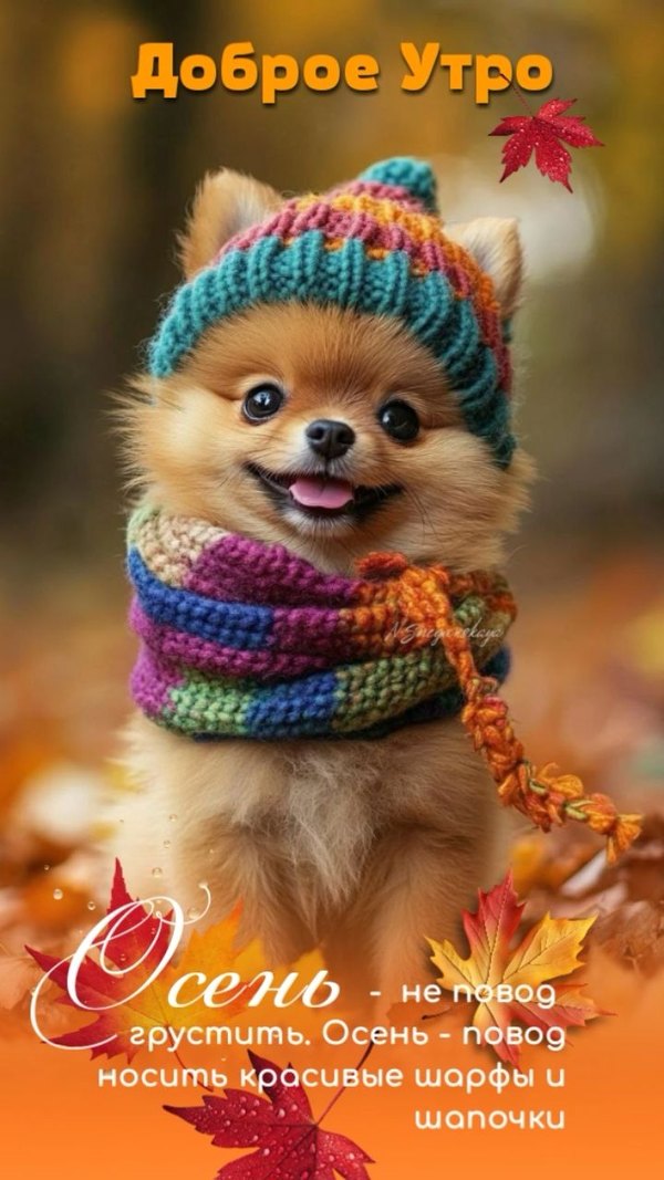 Изображение №31 720x1280 «Осень - не повод грустить!» из коллекции «Осенние открытки «С Добрым Утром!»»