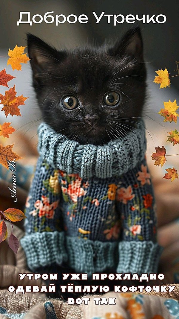 Изображение №66 736x1308 из коллекции «Осенние открытки «С Добрым Утром!»»