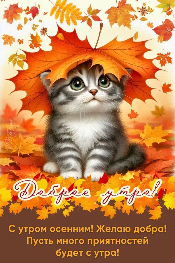 Изображение №47 735x1102 «С утром осенним! Желаю добра!» из коллекции «Осенние открытки «С Добрым Утром!»»
