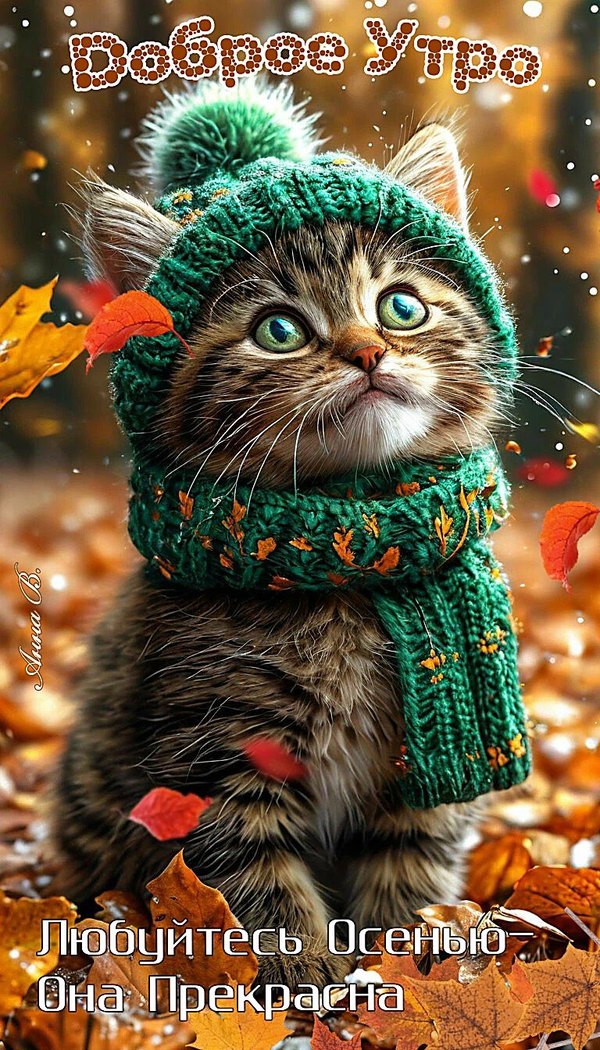 Изображение №12 768x1344 из коллекции «Осенние открытки «С Добрым Утром!»»